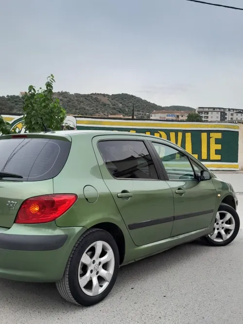Peugeot 307 2006 Oxygo