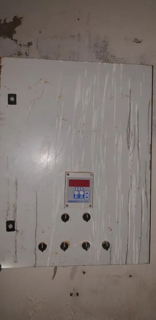 Batterie poules pendeuses 4800 sujets