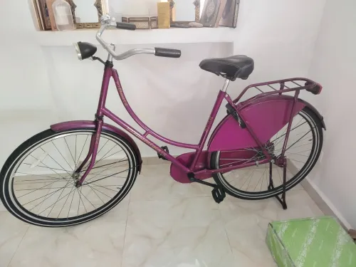 Vélo nostalgie hollandais