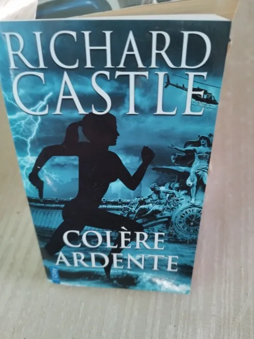 Livres romans