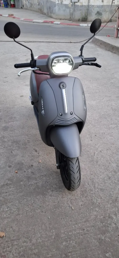 Vms Panaria 2024