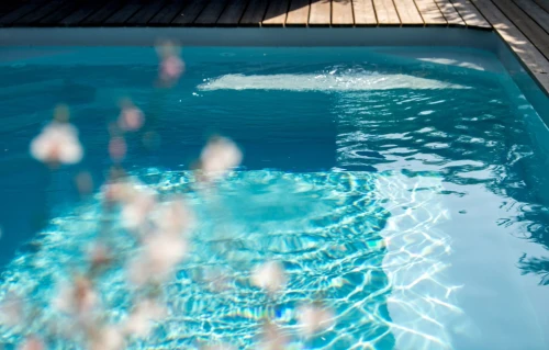 Location Villa Alger Ben aknoun