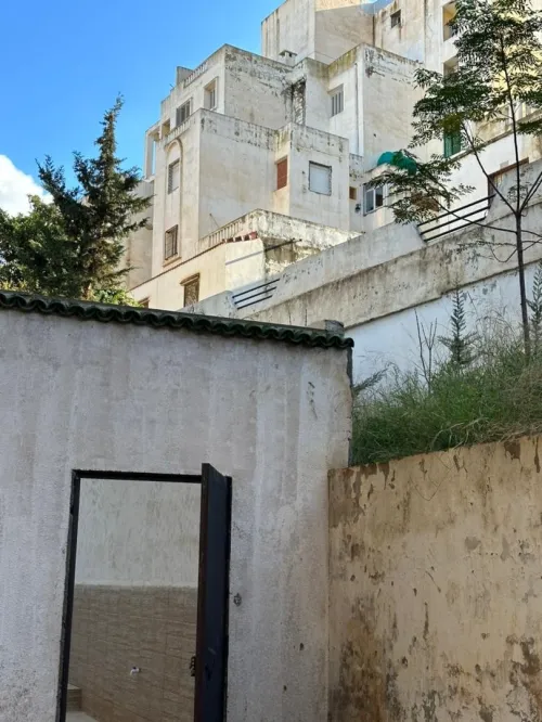 Vente Tipaza Douaouda