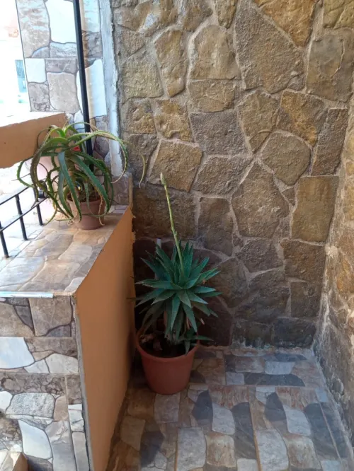 Vente Villa Appartement F2 Tlemcen Marsa ben mhidi