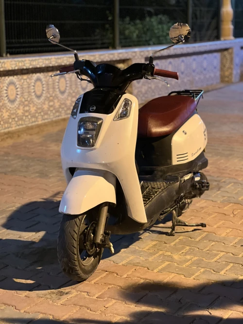 Sym Tonik 2025