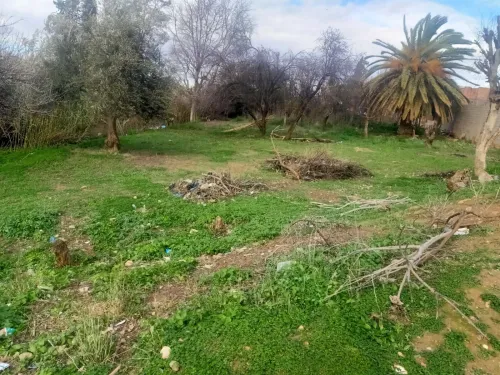 Vente Terrain Tlemcen Tlemcen