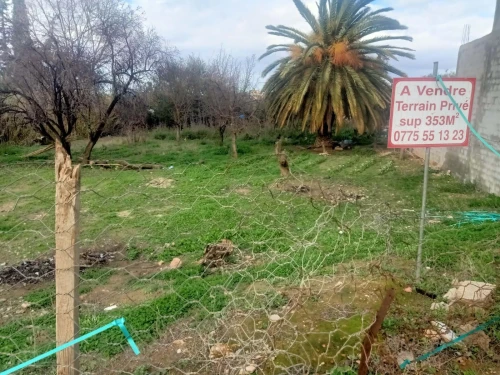 Vente Terrain Tlemcen Tlemcen