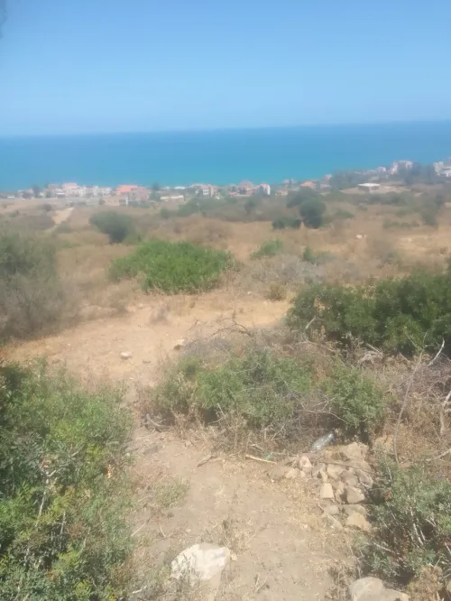 Vente Terrain Tizi Ouzou Tigzirt