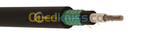 Fibre Optique Monomode 8 brins