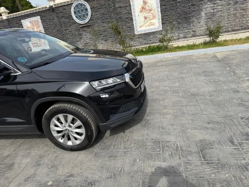 Skoda Karoq 2023 active