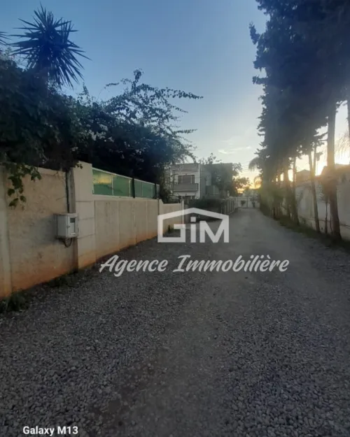Location Appartement F3 Alger Birkhadem