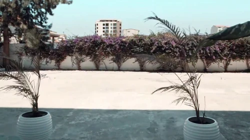 Location Immeuble Alger El achour