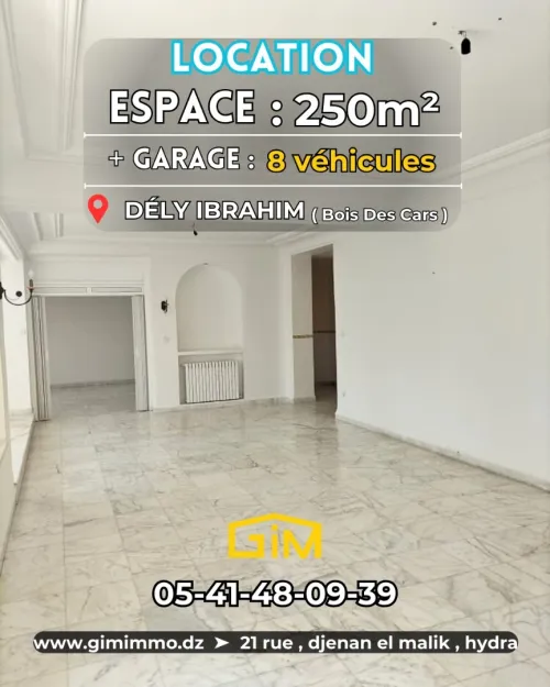 Location Appartement F3 Alger Dely brahim