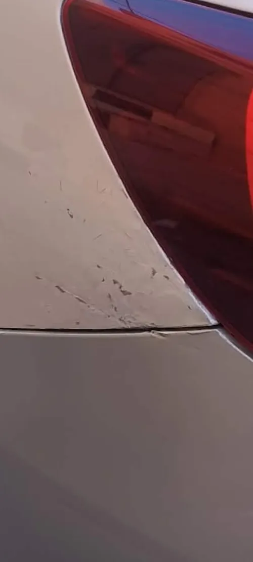 Renault Symbol 2018 Collection