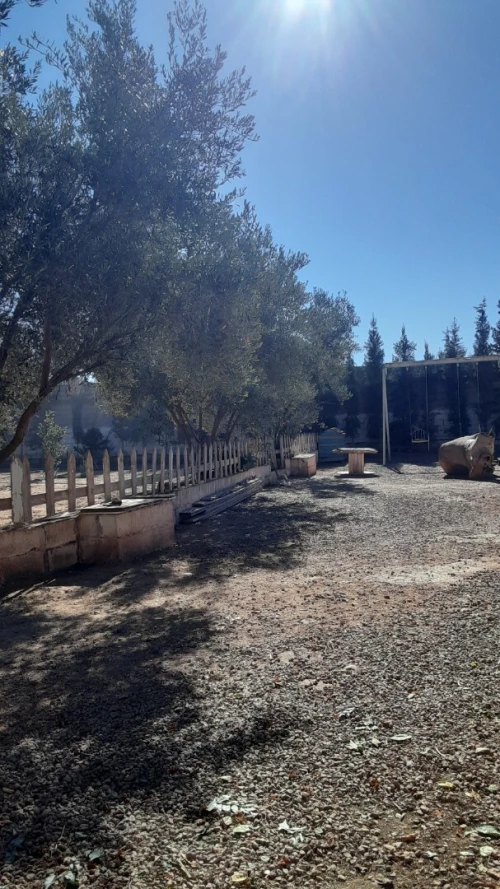 Vente bien immobilier Tlemcen Maghnia