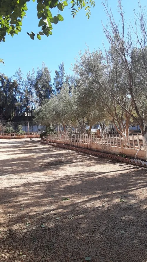 Vente bien immobilier Tlemcen Maghnia