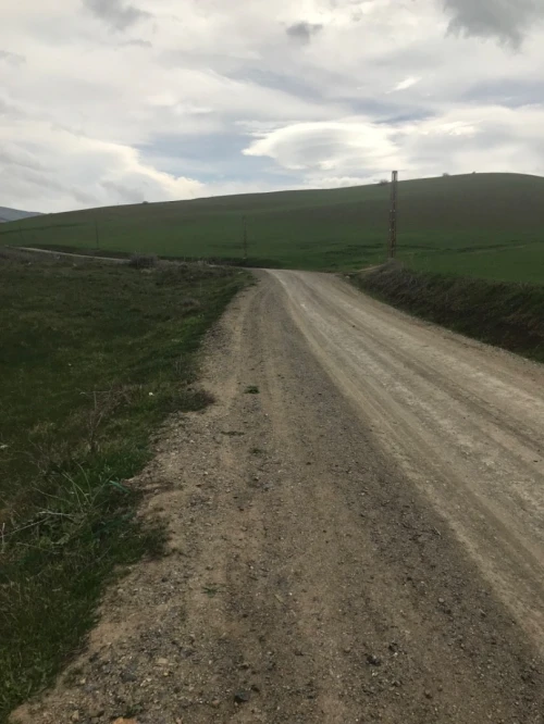 Vente Terrain Agricole Ain defla Hoceinia