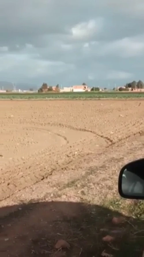 Vente Terrain Aïn Defla El abadia