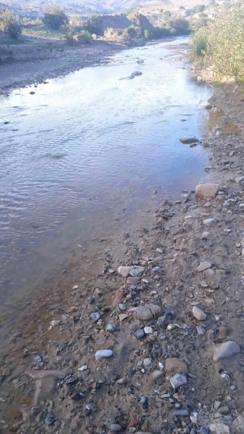 Vente Terrain Aïn Defla El abadia