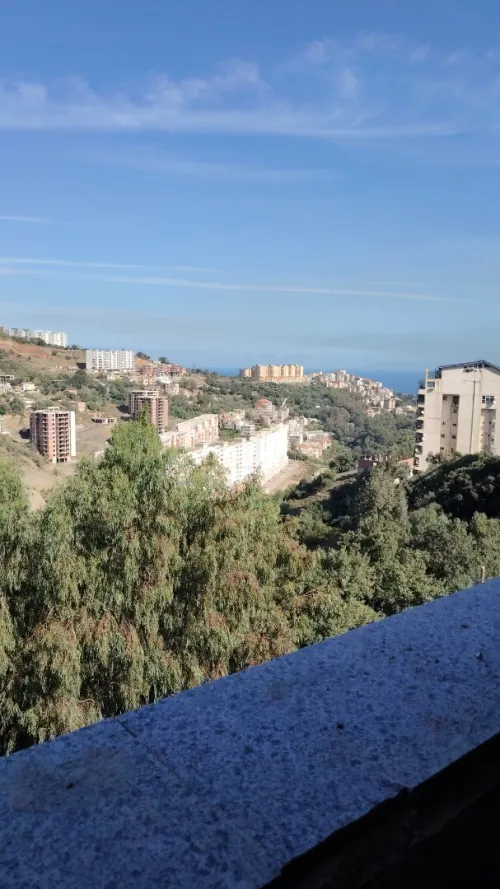 Vente Appartement Niveau de villa F4 Skikda Skikda