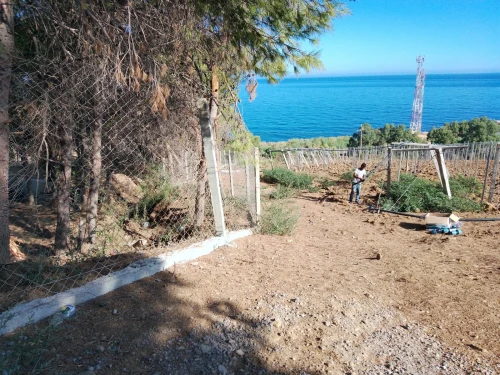 Clôture des jardins   et terrain