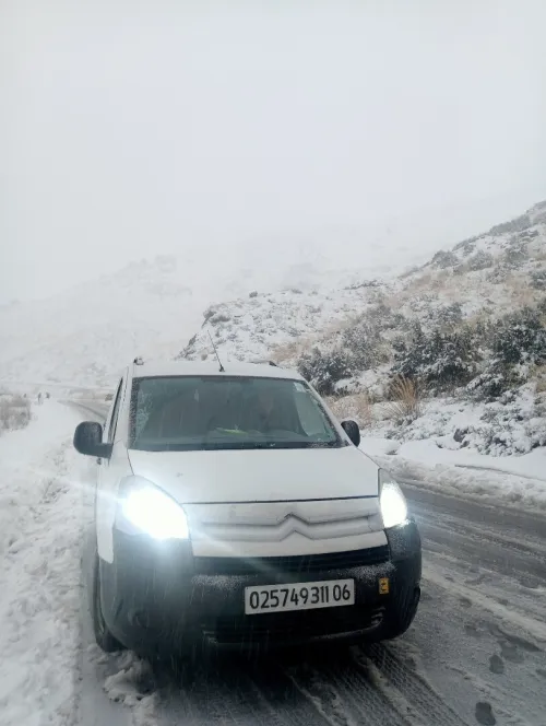 Citroen Berlingo 2011 Berlingo