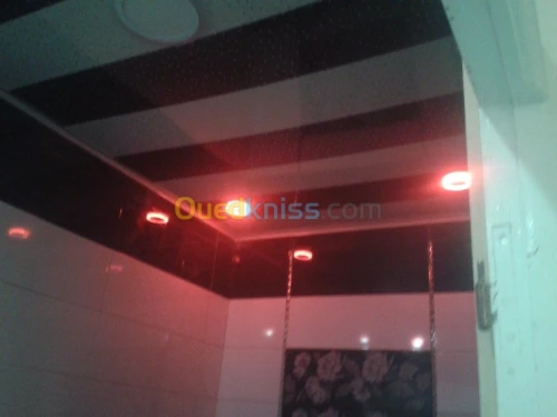 placoplatre ; peinture et decorations