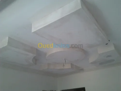 placoplatre ; peinture et decorations