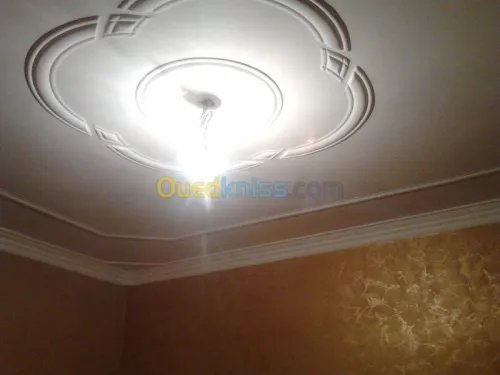 placoplatre ; peinture et decorations