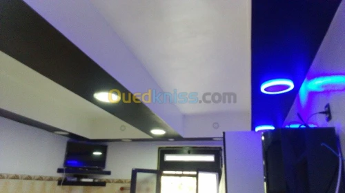 placoplatre ; peinture et decorations