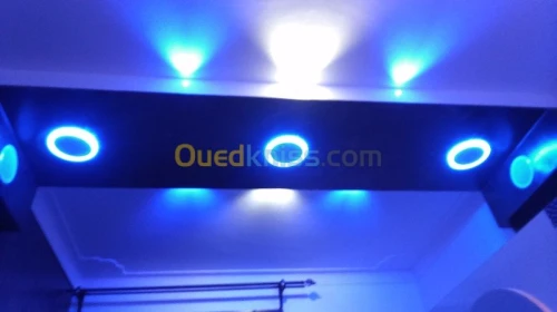 placoplatre ; peinture et decorations