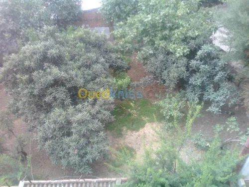 Vente Villa Alger Birkhadem