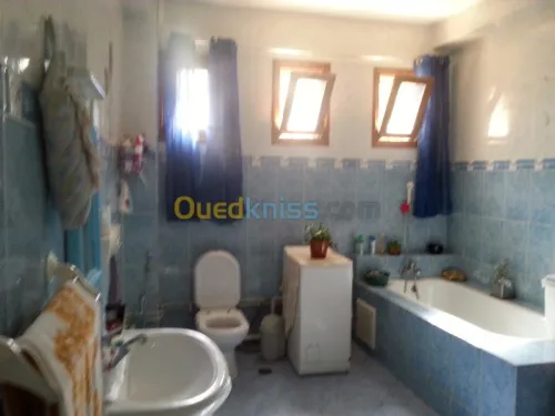 Vente Villa Alger Birtouta