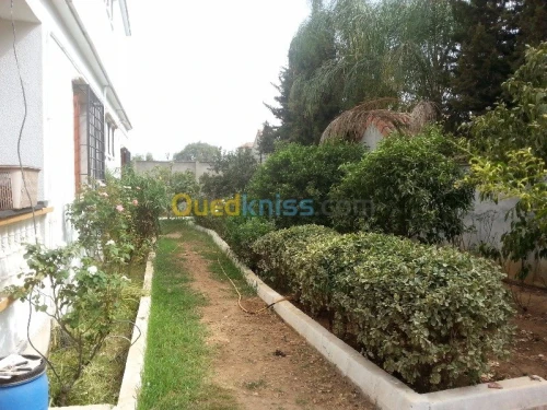 Vente Villa Alger Birtouta