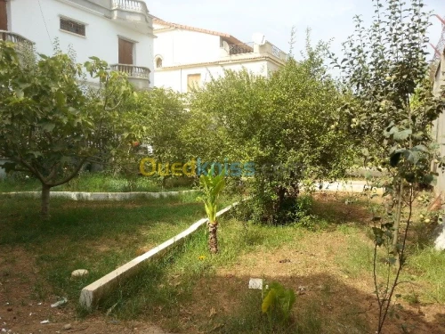 Vente Villa Alger Birtouta