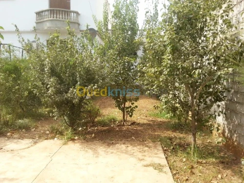 Vente Villa Alger Birtouta