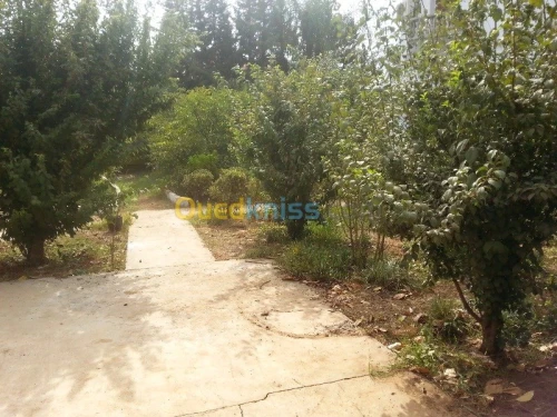 Vente Villa Alger Birtouta