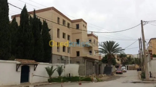 projection monocouche sur brique