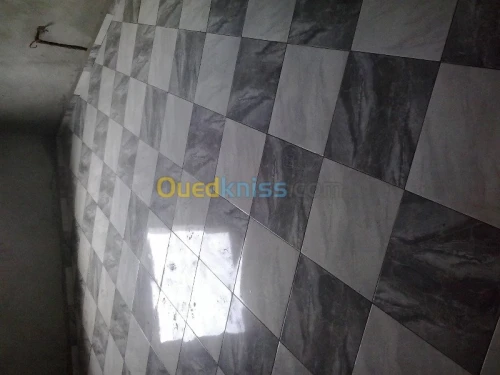 faience. dalle de sol. monocouche