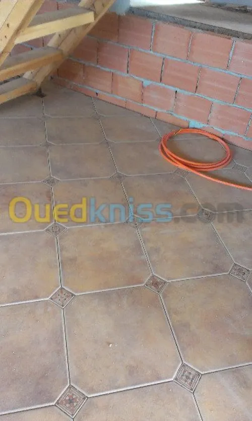 faience. dalle de sol. monocouche