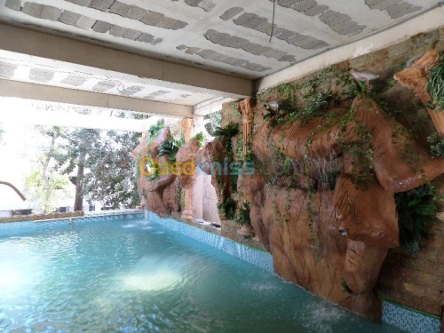 construction cascade et piscine 