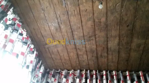 décoration rustique