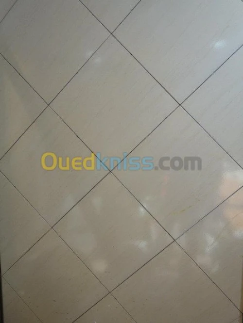 pose dalle de sol et faience