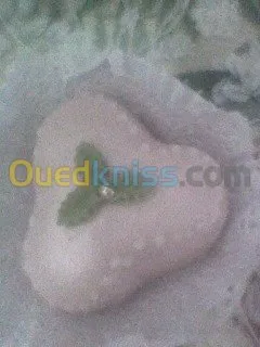 gateaux oriental fete