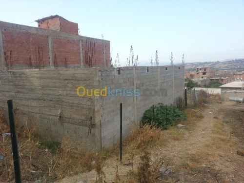 Vente Carcasse Skikda Salah bouchaour