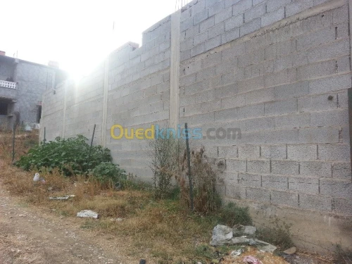 Vente Carcasse Skikda Salah bouchaour