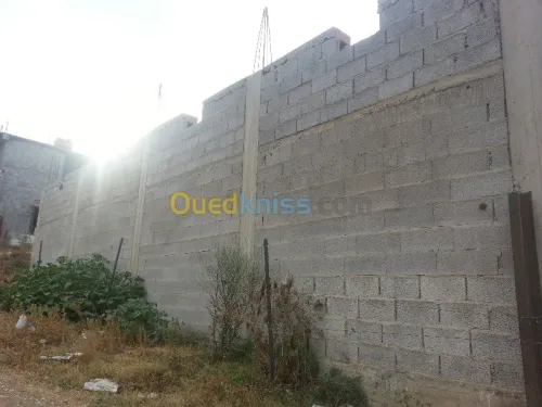 Vente Carcasse Skikda Salah bouchaour