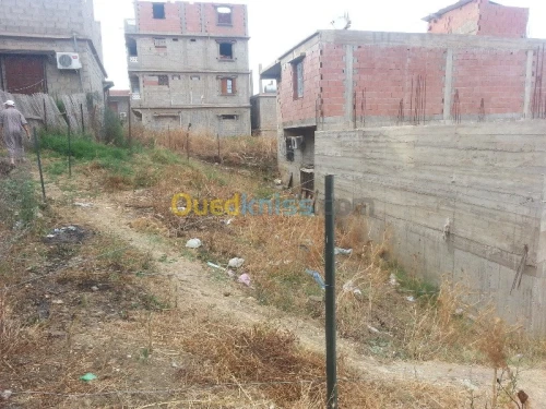 Vente Carcasse Skikda Salah bouchaour