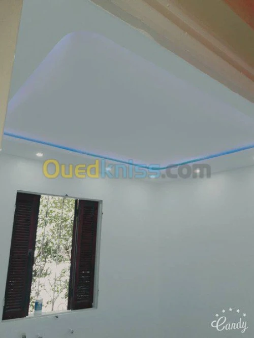 toute  travaux placo platre 