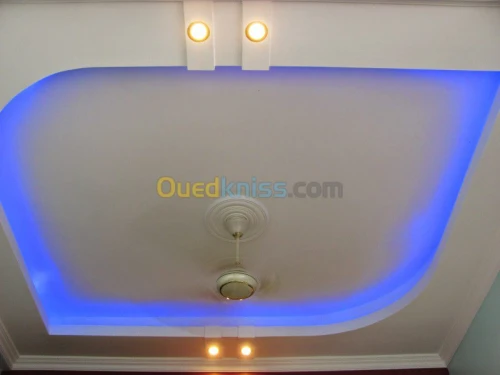 toute  travaux placo platre 